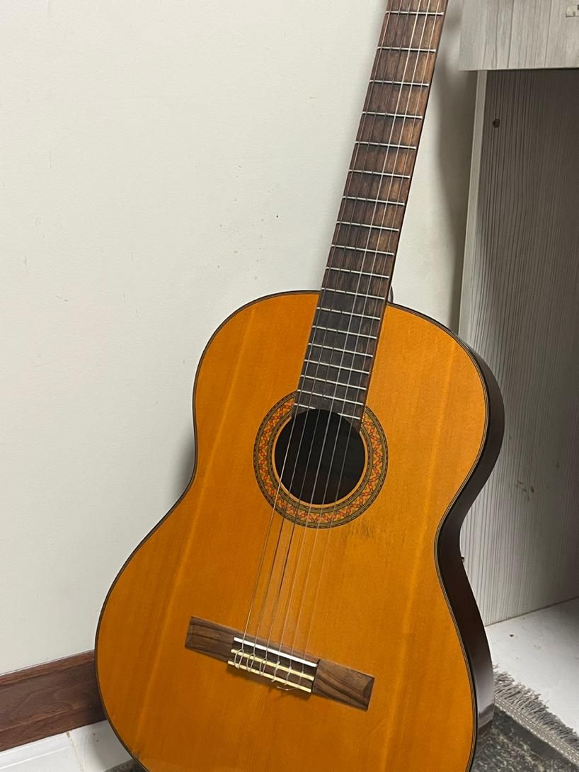 yamaha c70|گیتار، بیس، امپلیفایر|تهران, شیخ هادی|دیوار