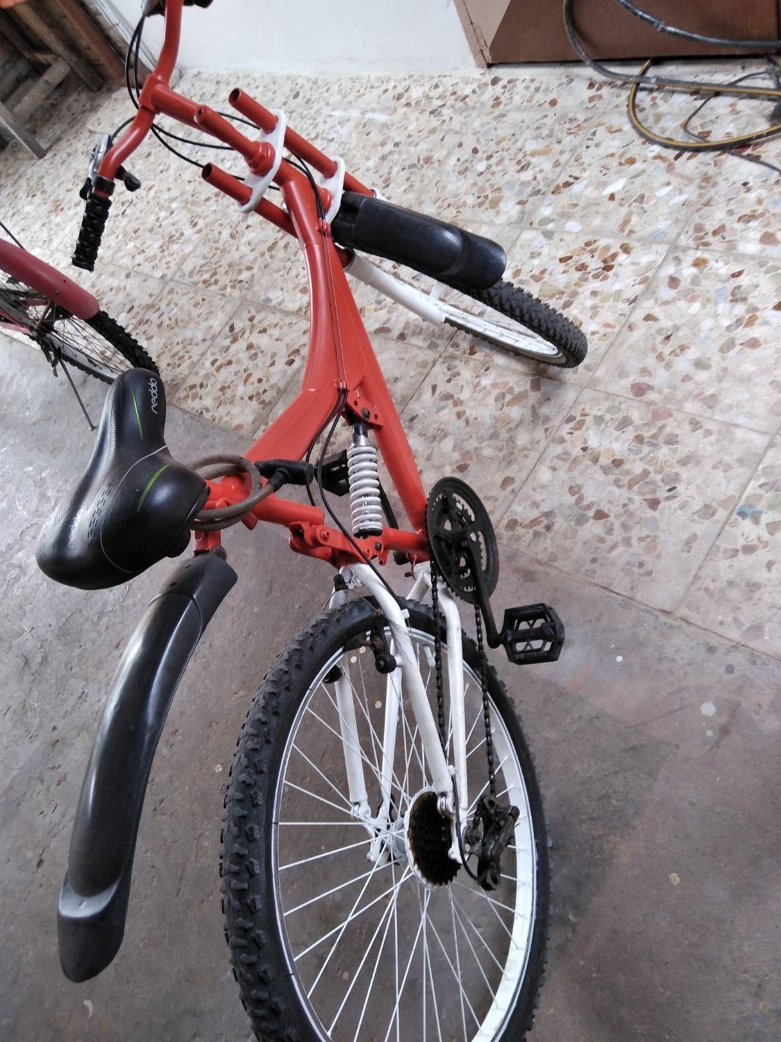 دوچرخه ۲۴|دوچرخه، اسکیت، اسکوتر|بندر انزلی, معلم|دیوار