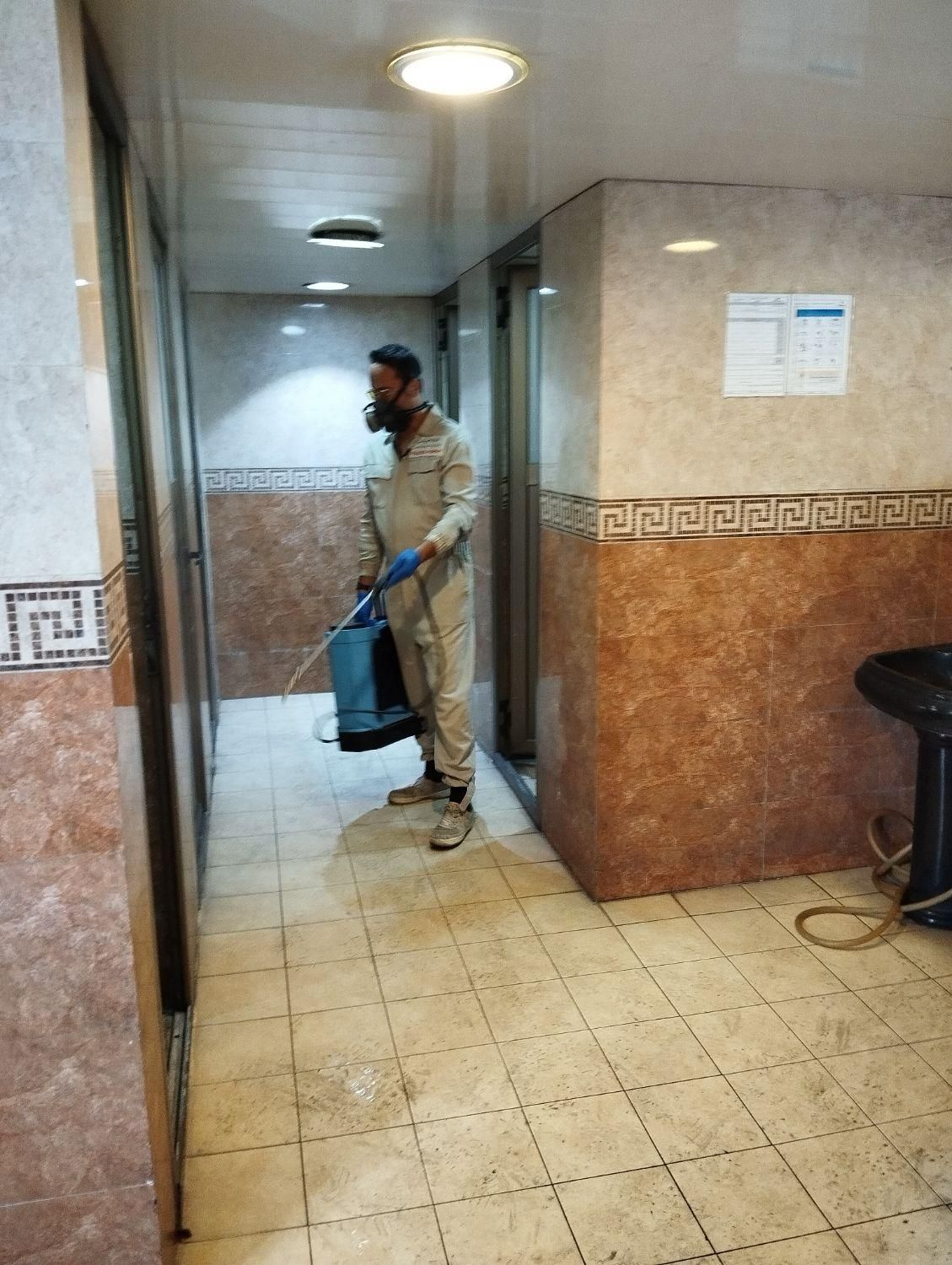 سمپاشی و طعمه گذاری با مجوز وزارت بهداشت سم پاشی|خدمات نظافت|تهران, سلسبیل جنوبی|دیوار