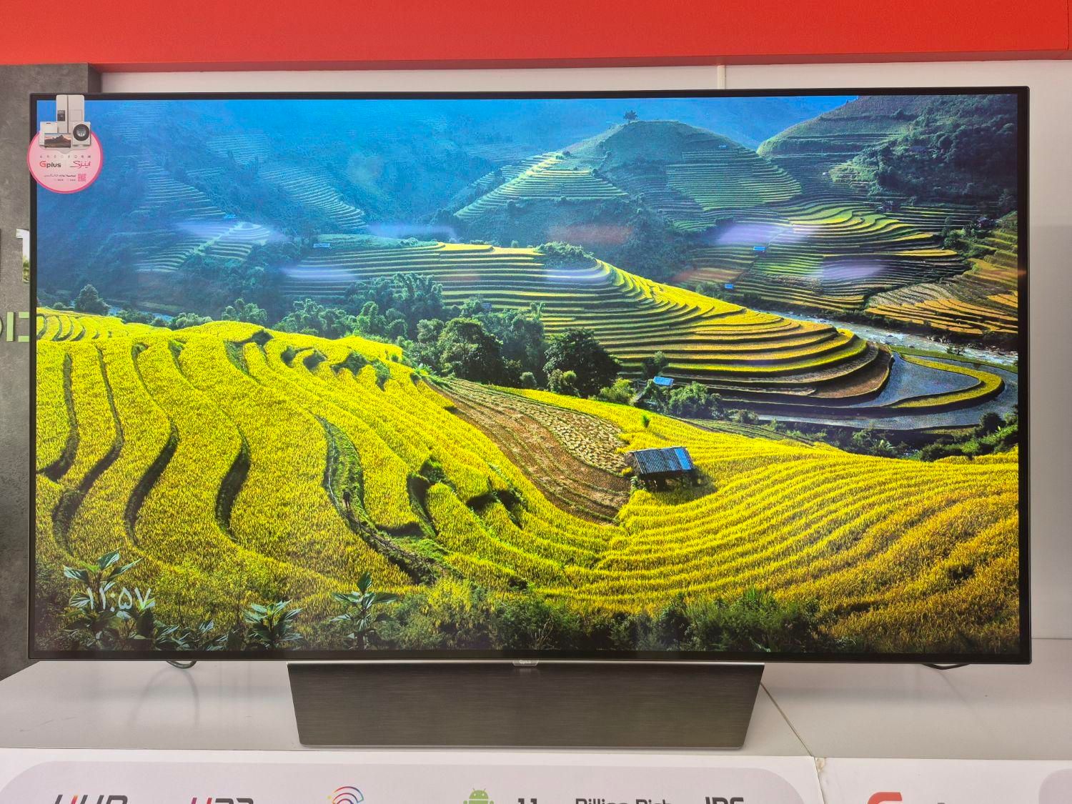 تلویزیون OLED جی پلاس|تلویزیون و پروژکتور|تهران, میرداماد|دیوار