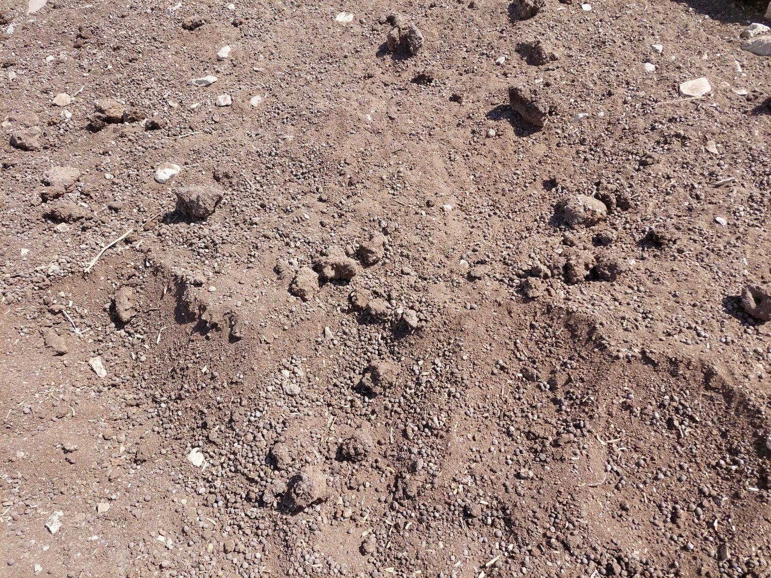 کود بز و گوسفند خشک گونی شده و فله.و کود پوسیده|لوازم جانبی حیوانات|برازجان, |دیوار