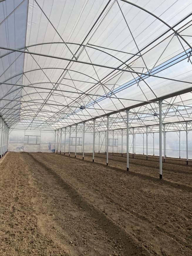 ساخت انواع سازه گلخانه(صفرتاصد،نقد و اقساط)|عمدهفروشی|شهرکرد, |دیوار