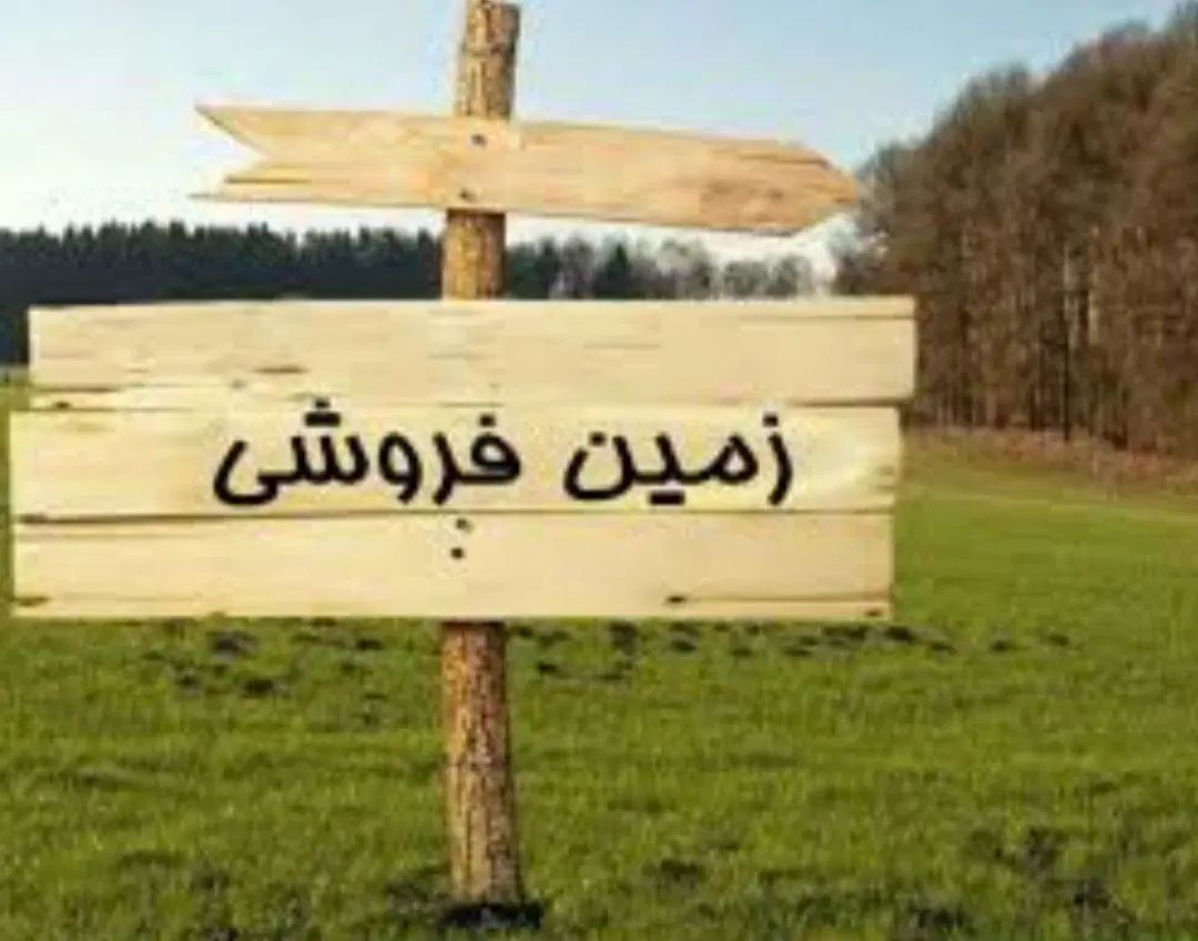 فروش زمین چسبیده به کاربری کوسه،موقعیت عاالی|فروش زمین و ملک کلنگی|کلاله, |دیوار