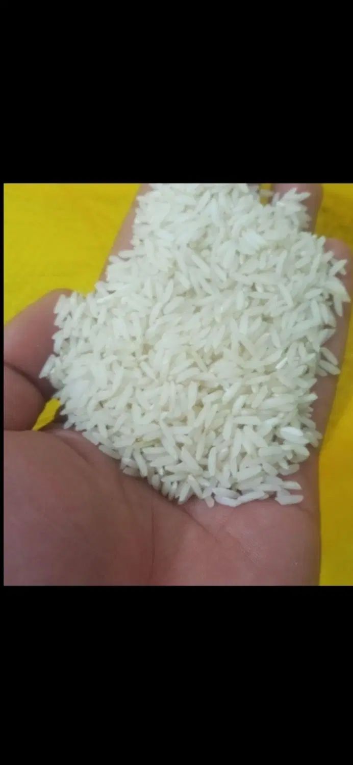 برنج طارم هاشمی|خوردنی و آشامیدنی|تهران, عبدل‌آباد|دیوار