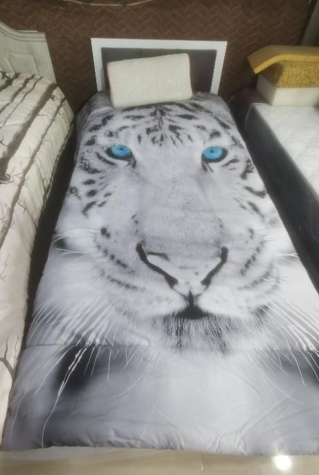 روتختی سه بعدی|سرویس روتختی|کرمانشاه, |دیوار