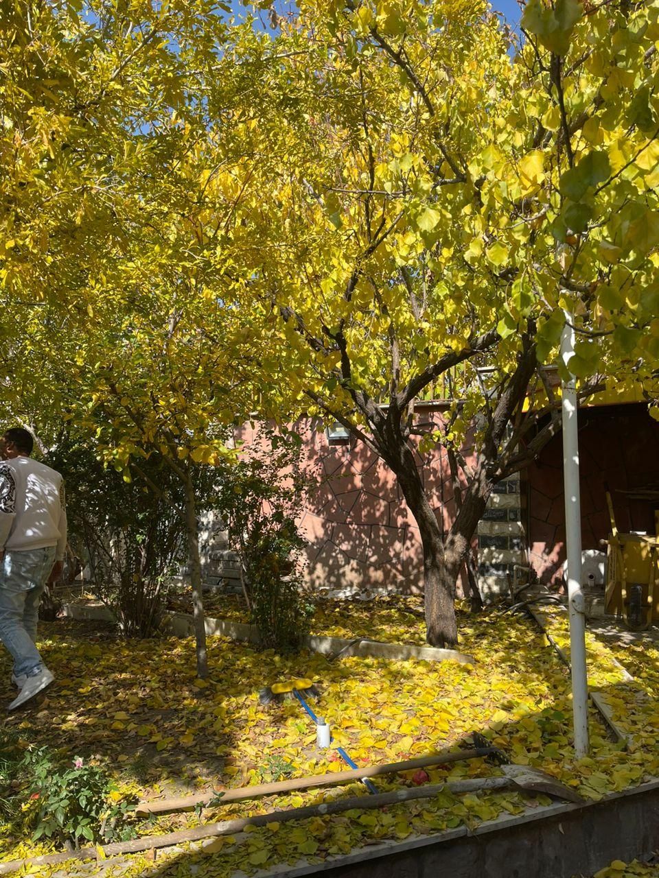 باغ ویلاجنگلی۹۰۰متری بابنا۲۰۰مترسندششدانگ*مهراباد*|فروش خانه و ویلا|رودهن, |دیوار