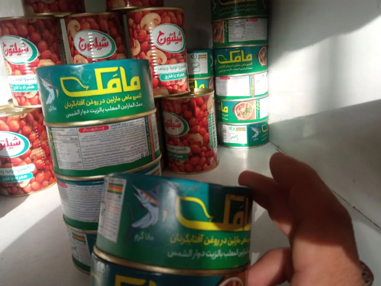 کنسرو لوبیاباقارچ شیلتون و کنسرو ماهی مامک|خوردنی و آشامیدنی|تهران, تهرانسر شمالی|دیوار