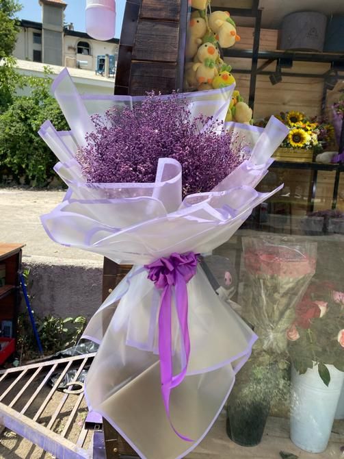 جشنواره رزطبیعی فقط شاخه ای ۲۰هزارانواع گلهاطبیعی|گل و گیاه طبیعی|کرج, گوهردشت|دیوار