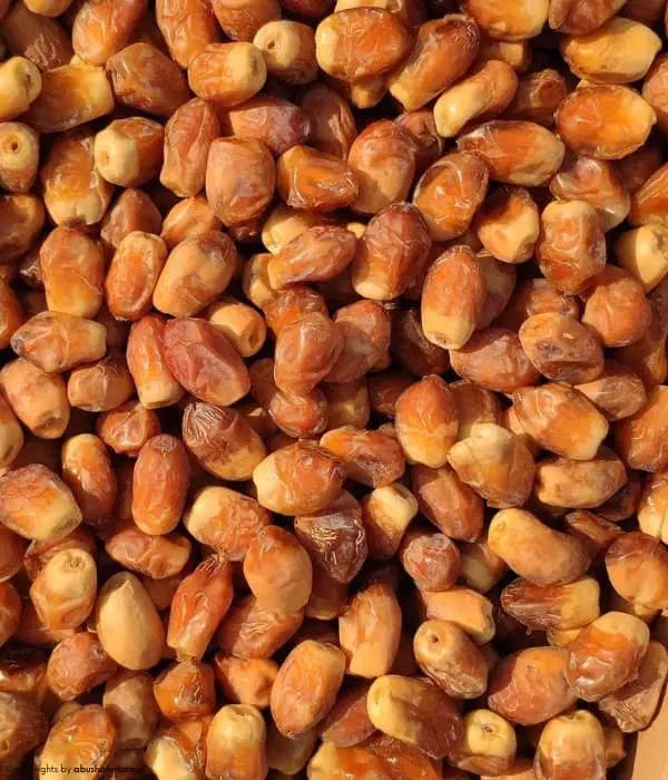 خرما خشک درجه یک|خوردنی و آشامیدنی|تهران, شوش (باغ آذری)|دیوار