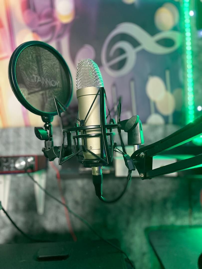 میکروفون TANNOY TM1 ساخت انگلیس|صوتی و تصویری|تهران, خرمشهر|دیوار