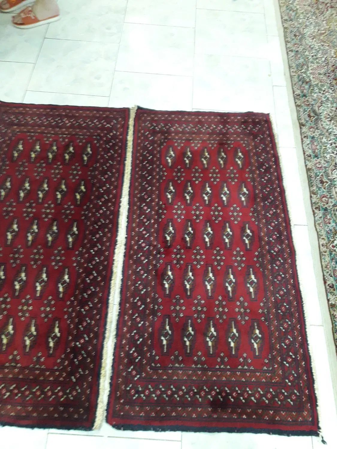 قالیچه فرش دستی قدیمی دوعدد پادری|فرش|رشت, ساغری سازان|دیوار