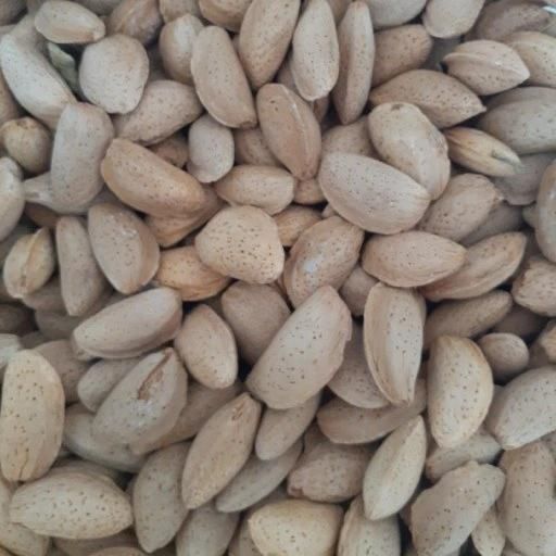 خریدار بادام و مغز بادام|خدمات باغبانی و درختکاری|شهرکرد, |دیوار