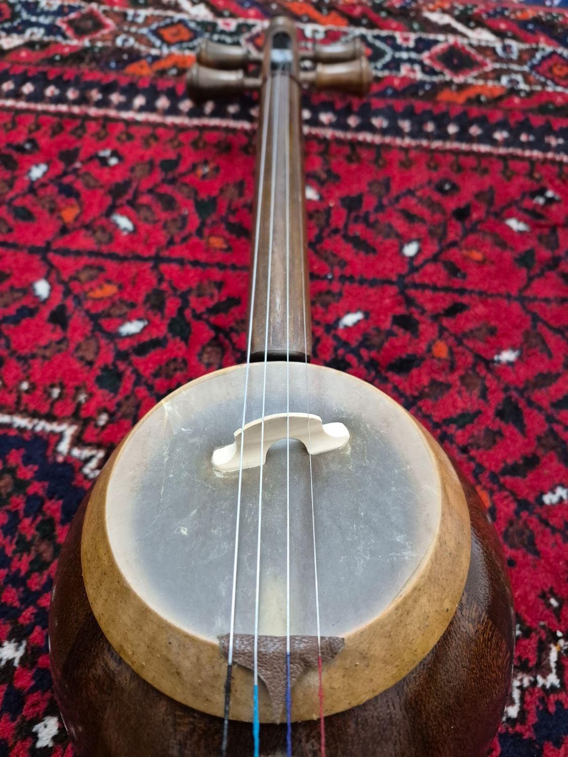 کمانچه مهدی جودکی|سازهای سنتی|شیراز, گلدشت معالی‌آباد|دیوار