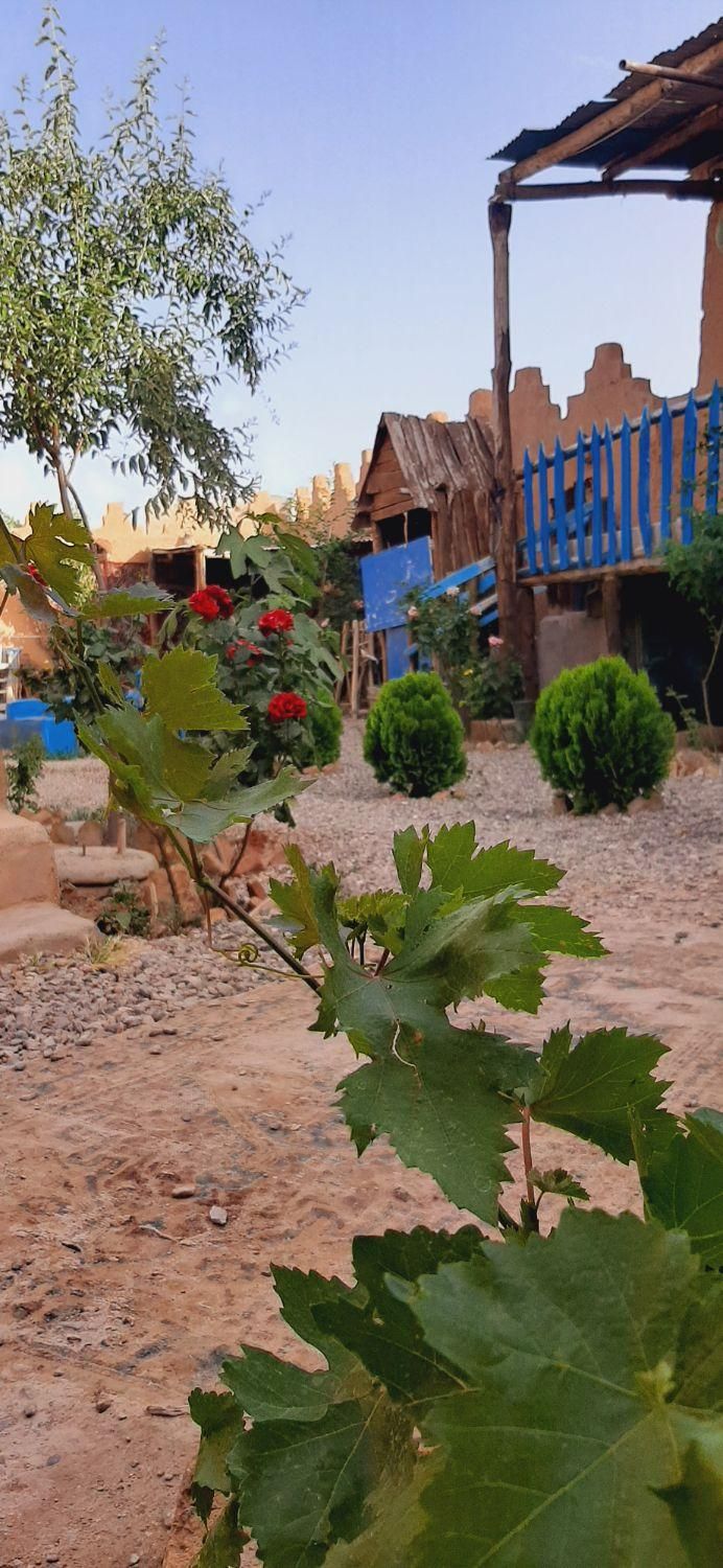 بومگردی خانه عباسی|اجارهٔ کوتاه‌مدت ویلا و باغ|تاکستان, |دیوار