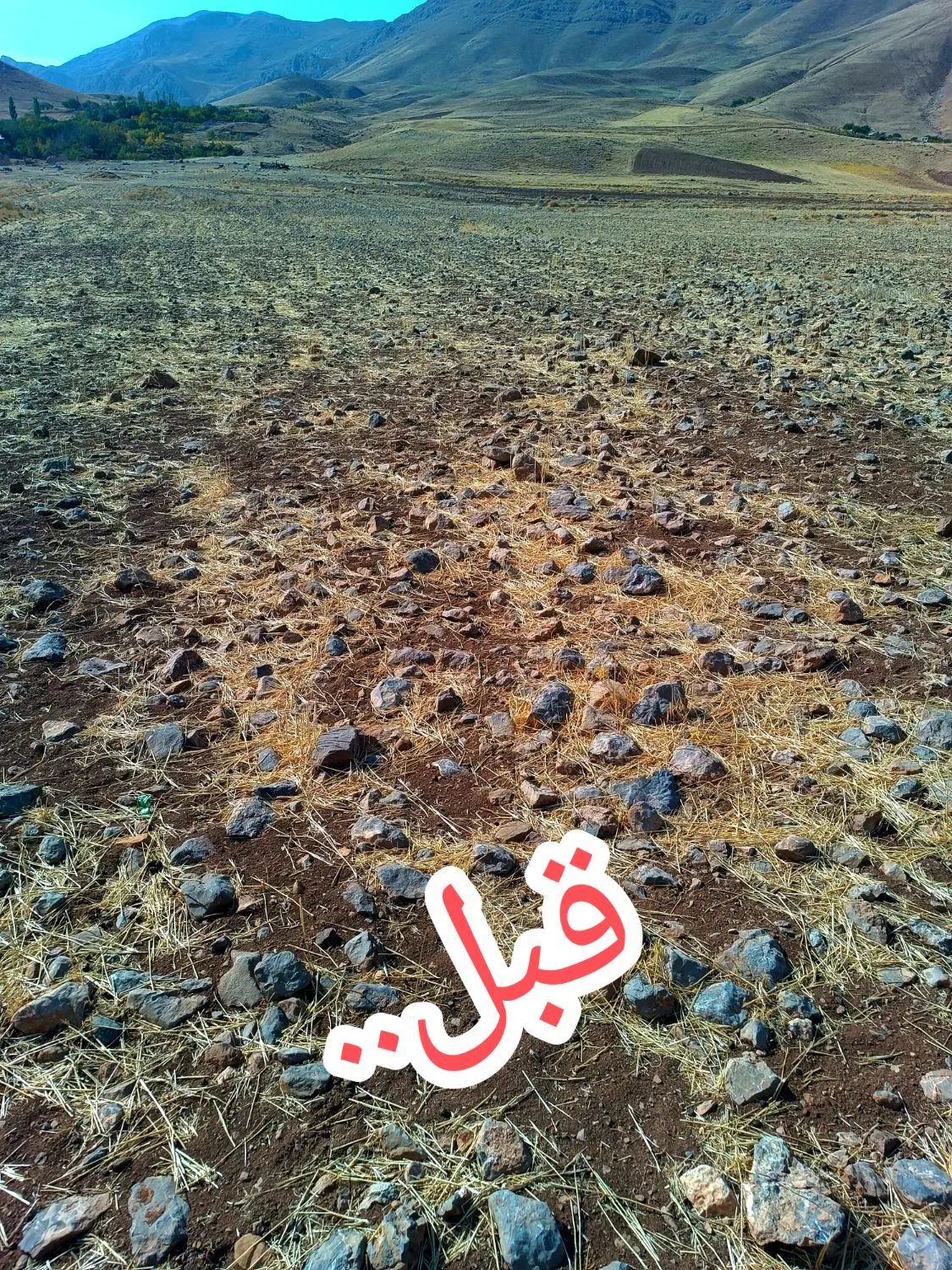 سنگ جمع کن|خدمات باغبانی و درختکاری|کرمانشاه, |دیوار