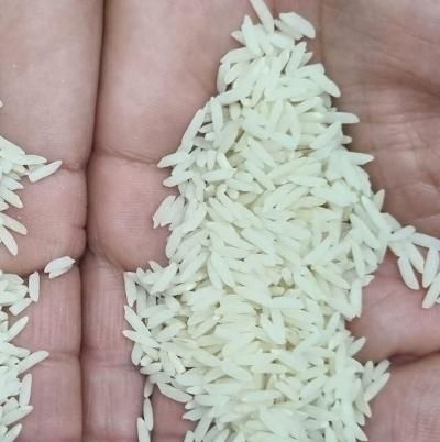 فروش برنج هاشمی هیزمی سنتی پدر بابای سابق ۱۷۹ ت|خوردنی و آشامیدنی|رشت, استقامت 1|دیوار