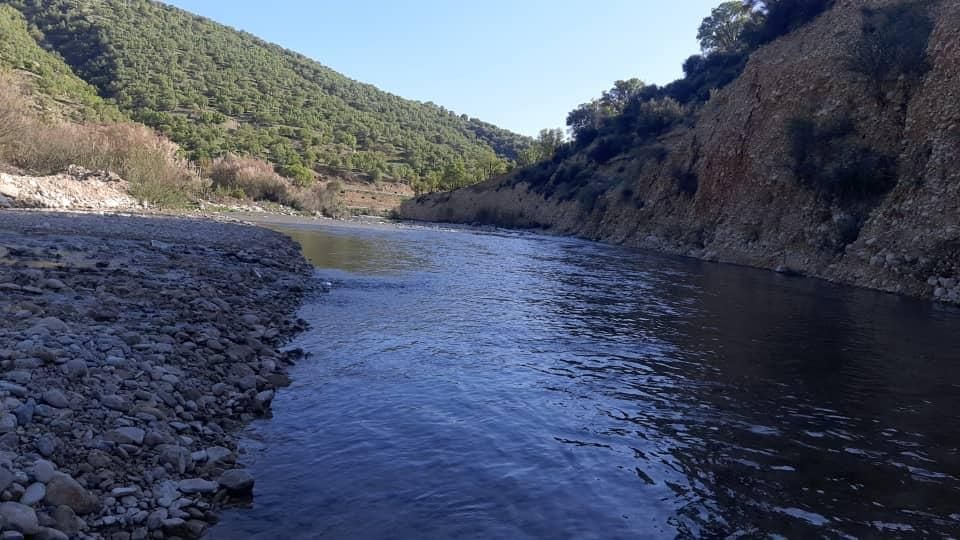 ویلا باغ مخصوص طبیعت دوستان لب رودخانه|اجارهٔ کوتاه‌مدت ویلا و باغ|شیراز, محمدیه|دیوار