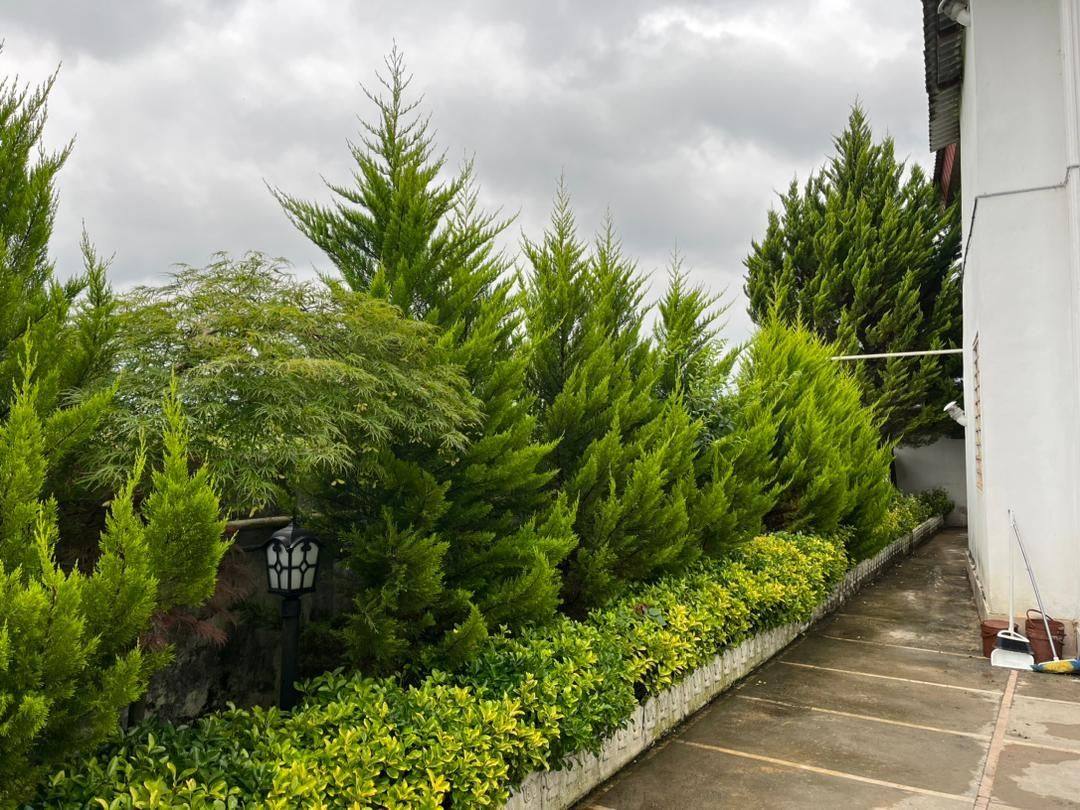 310 متر زمین شش دانگ داخل بافت مسکونی|فروش زمین و ملک کلنگی|سلمانشهر, |دیوار