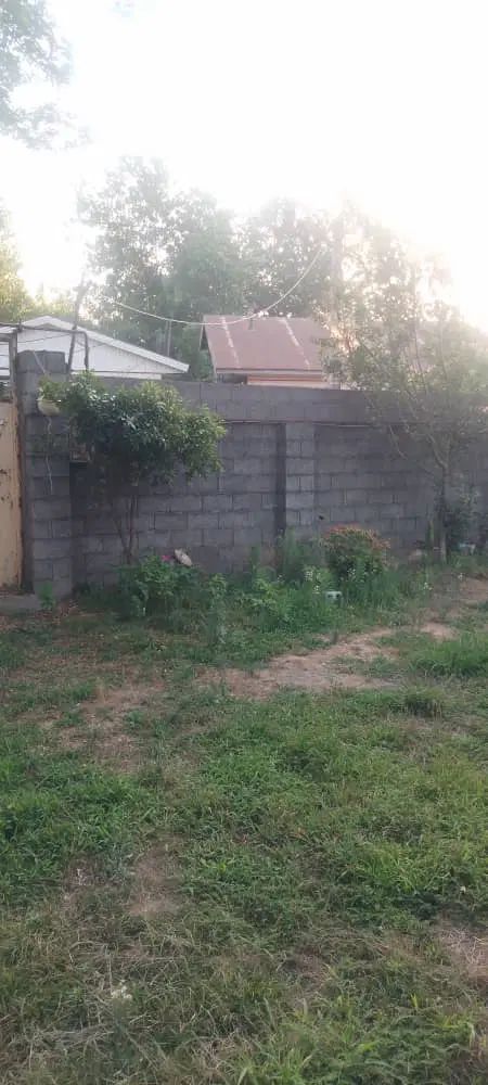 283متری محصورشده/سندتک برگ/3کنتور وصل/منطقه آزاد|فروش زمین و ملک کلنگی|بندر انزلی, جفرود پایین|دیوار