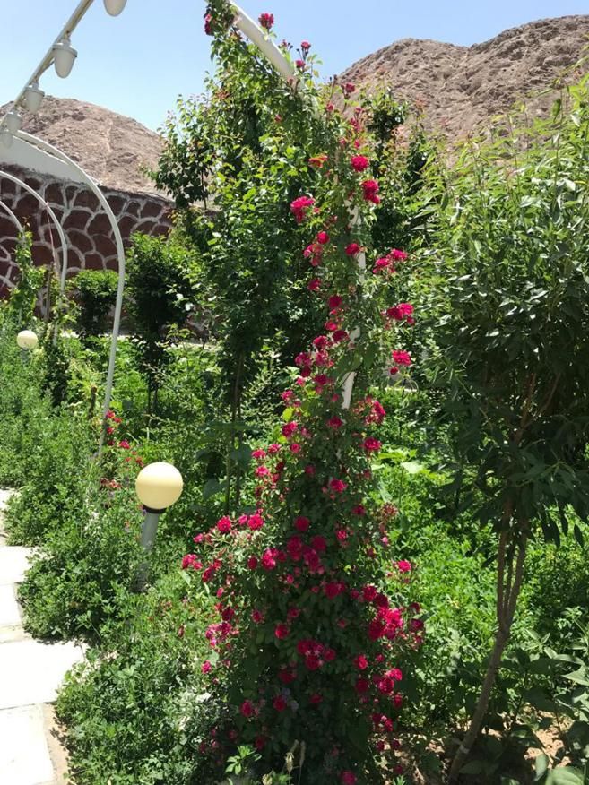 فروش ویلا باغ ۰ ۷۰ متری ۱ خوابه در پیربکران|فروش خانه و ویلا|اصفهان, بهارستان|دیوار