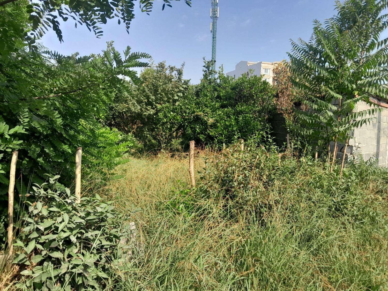 ۳۲۹ متر طحانی|فروش زمین و ملک کلنگی|کتالم و سادات شهر, |دیوار