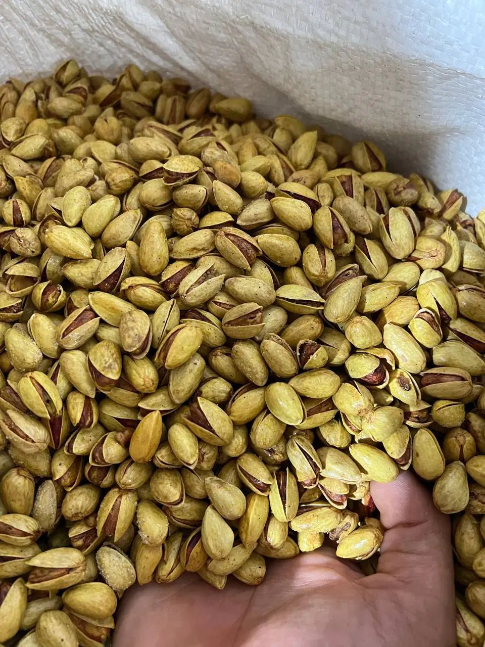 پسته مه ولات|خوردنی و آشامیدنی|مشهد, کوشش|دیوار