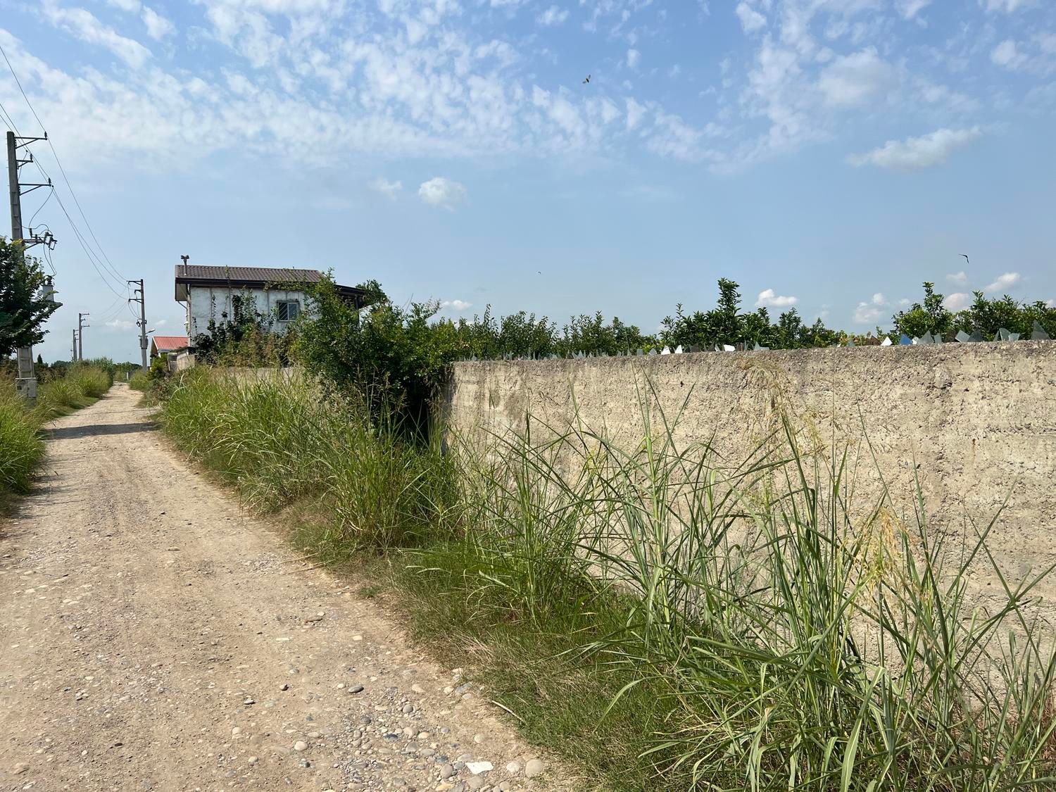 باغچه ۳۰۰ متری بر آسفالت / انشعابات پای ملک|فروش دفتر صنعتی، کشاورزی، تجاری|کیاکلا, |دیوار