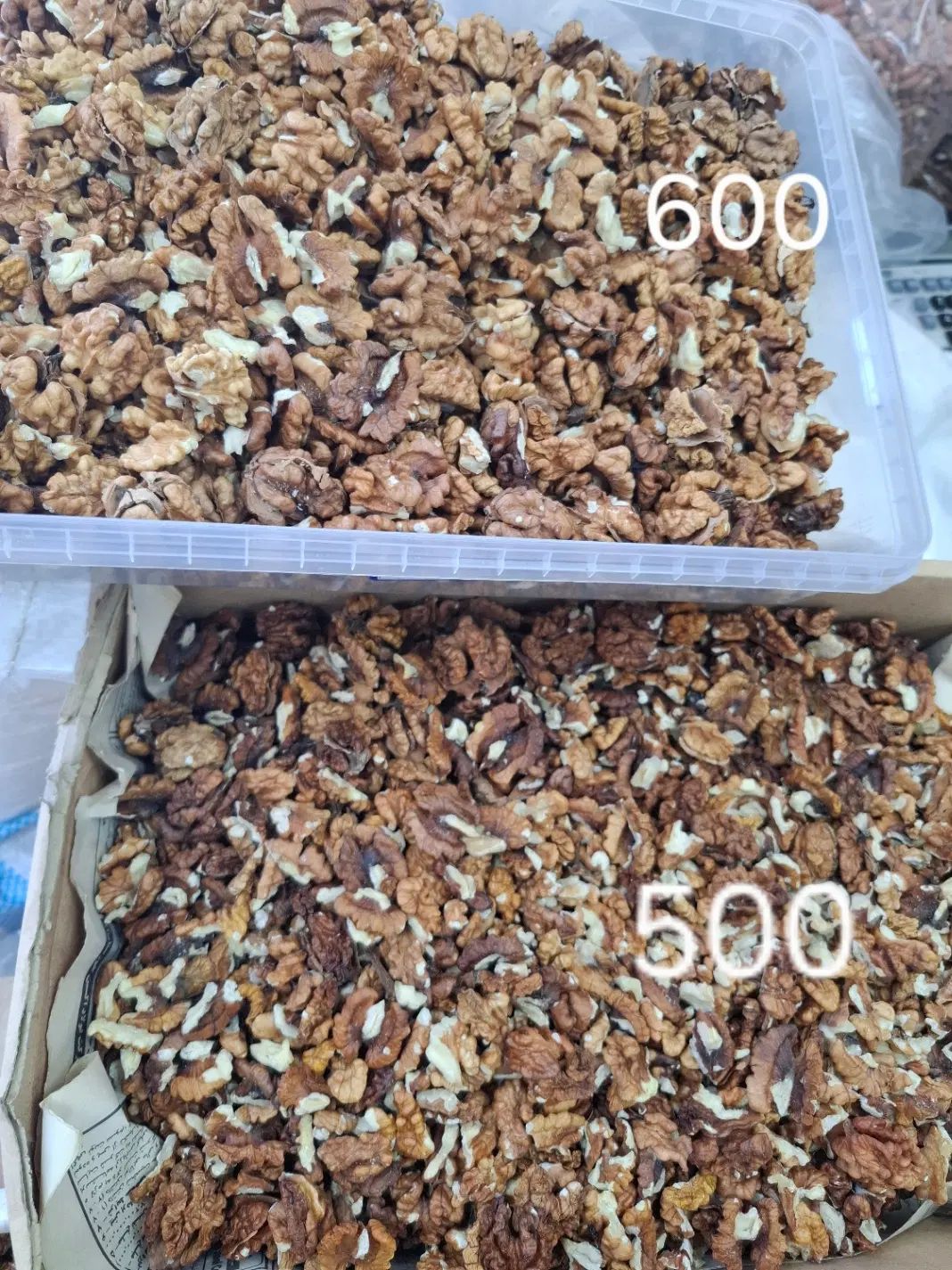 مغز گردوی محلی|خوردنی و آشامیدنی|رشت, خمیران زاهدان|دیوار