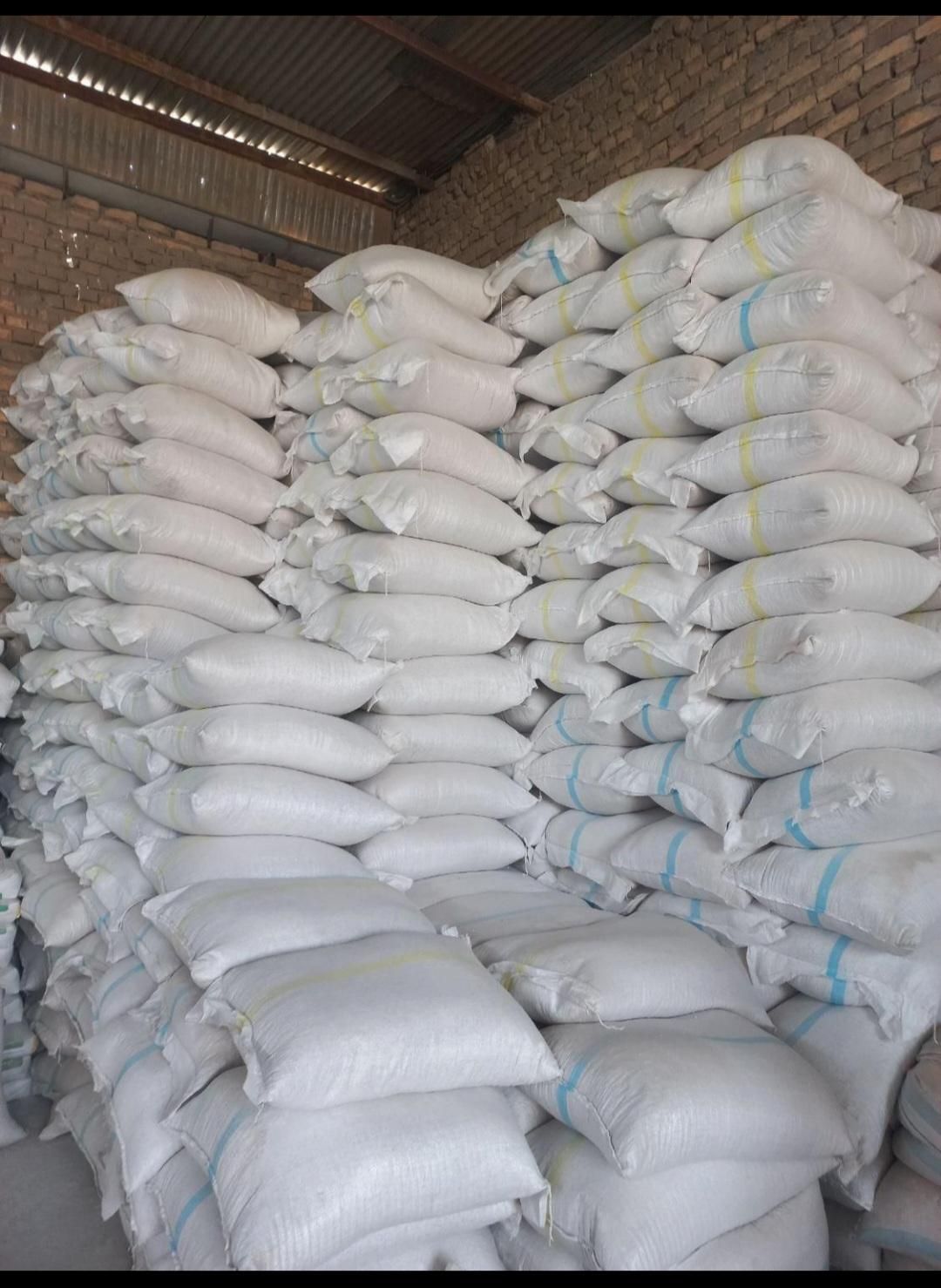 دیوارگچی وپوکه پرلیت و کناف و بتوگیپس و...|خدمات پیشه و مهارت|یزد, |دیوار