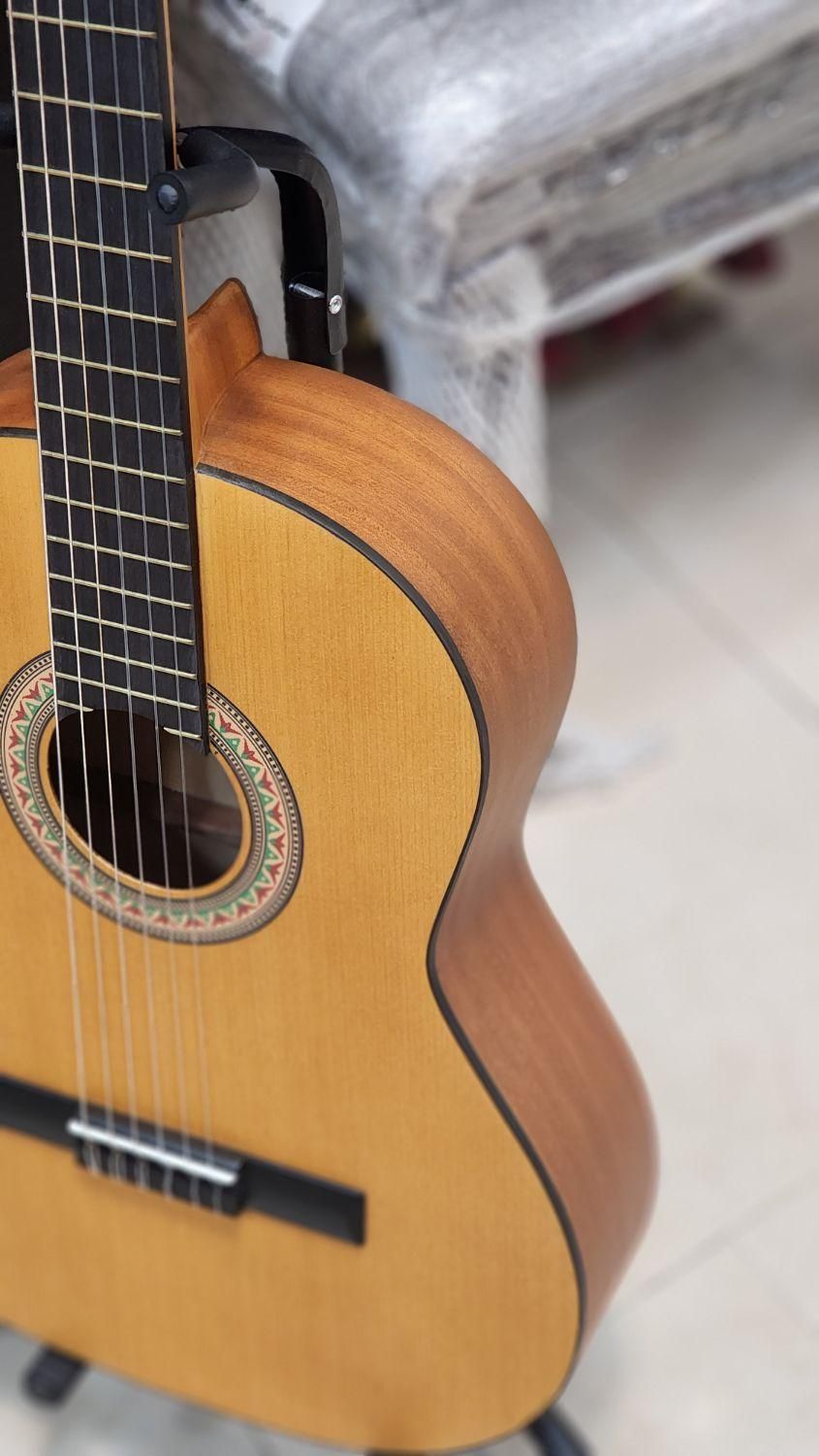 گیتار پارسی m2|گیتار، بیس، امپلیفایر|پردیس, فاز ۲|دیوار