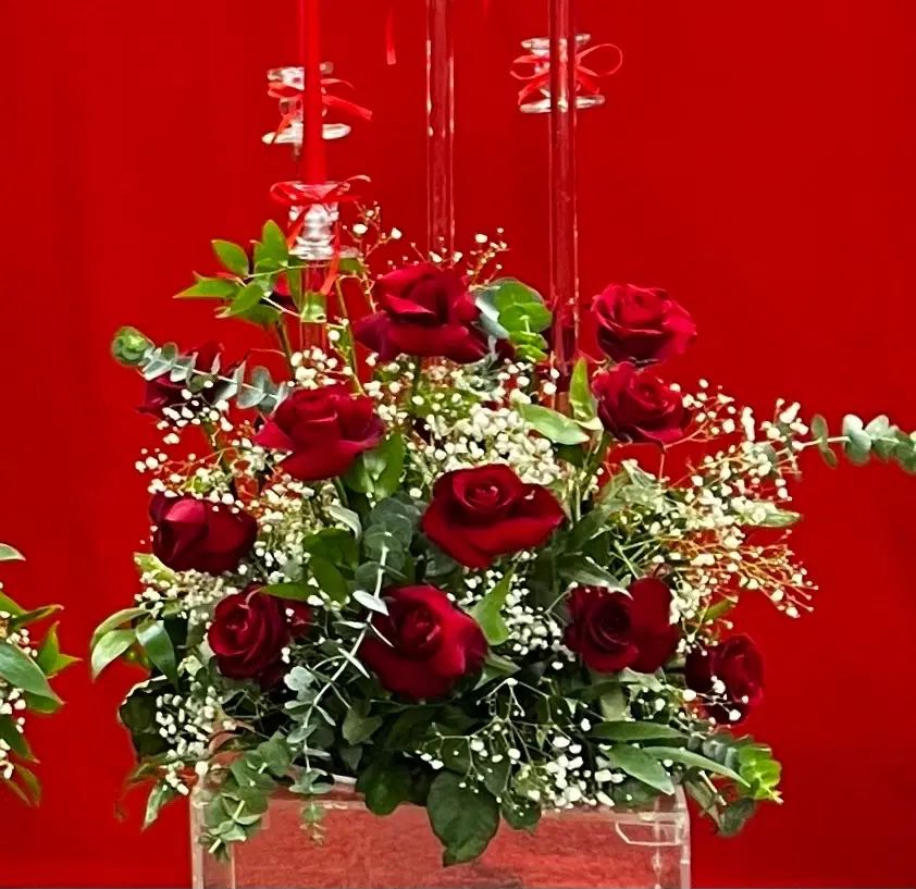 گل رز|گل و گیاه طبیعی|مشهد, آبکوه|دیوار