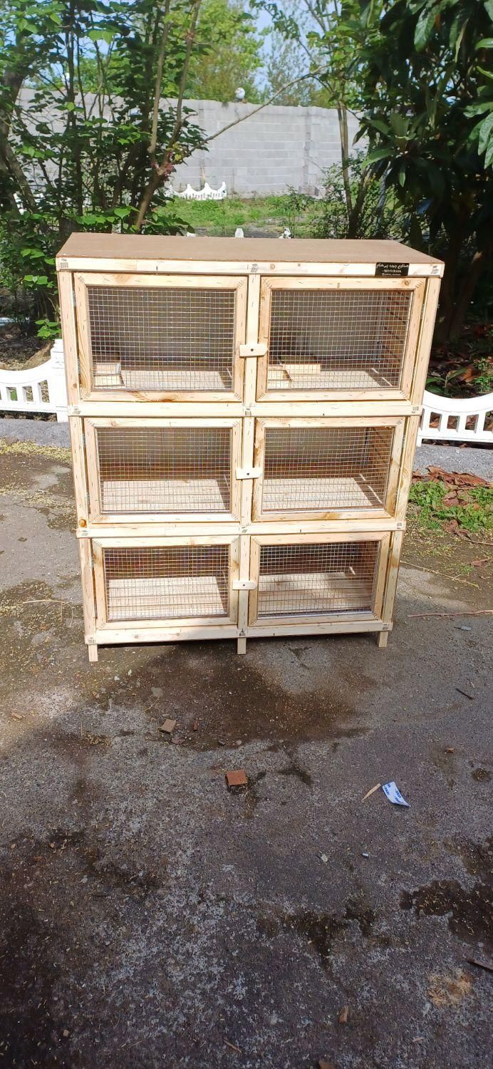 لانه پرنده پران کبوتر|لوازم جانبی حیوانات|رشت, گلسار|دیوار