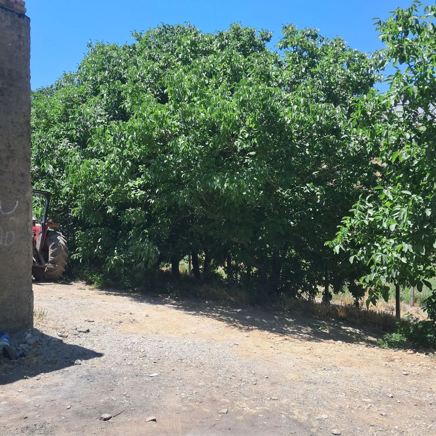 فروش خانه ویلایی روستای دربند ۲۰۰۰ متری ۱ خوابه|فروش خانه و ویلا|ازنا, |دیوار