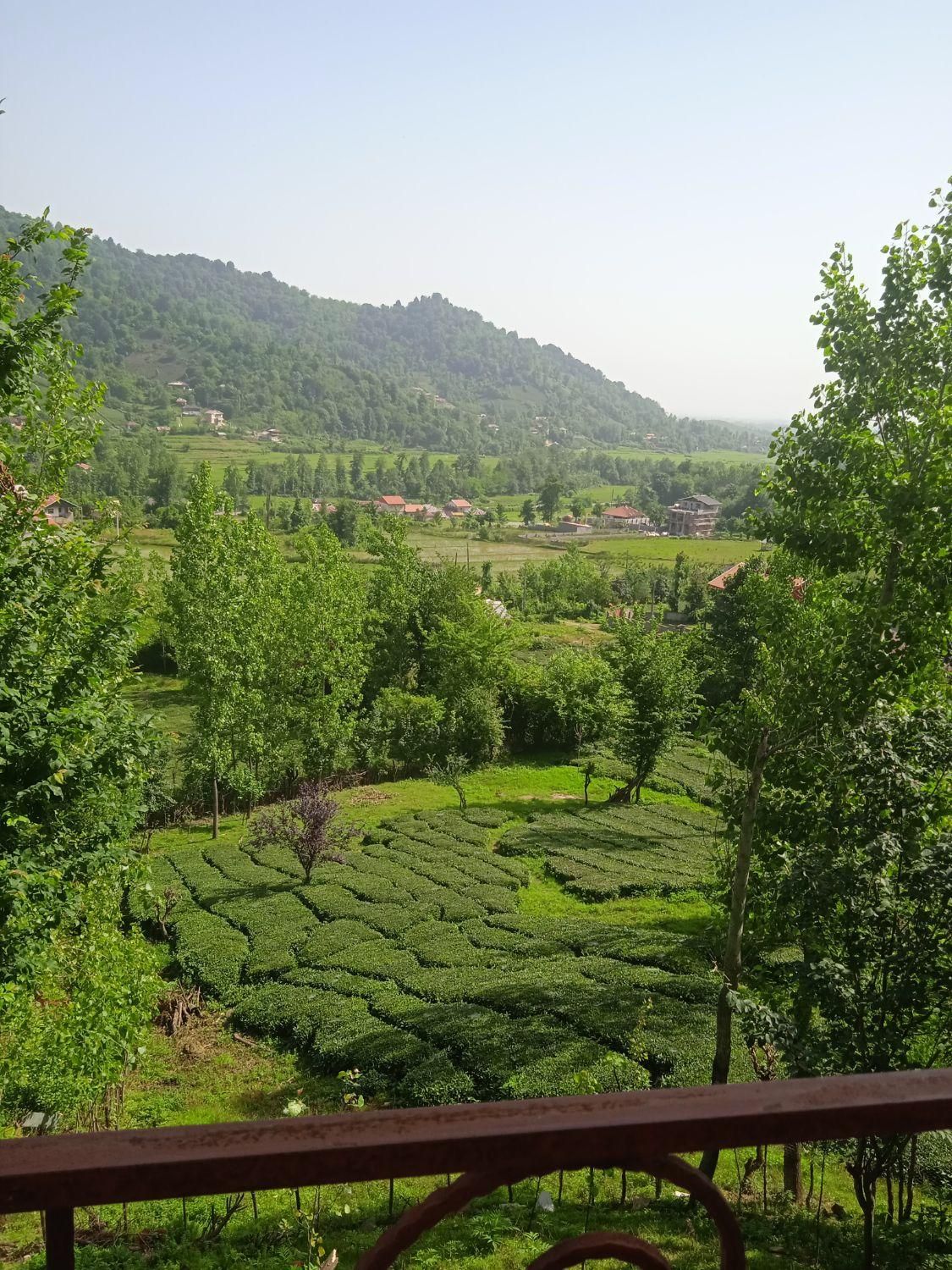 اجاره ویلاباچشم انداز زیبا روبه باغ چای و جنگل|اجارهٔ کوتاهمدت ویلا و باغ|فومن, |دیوار