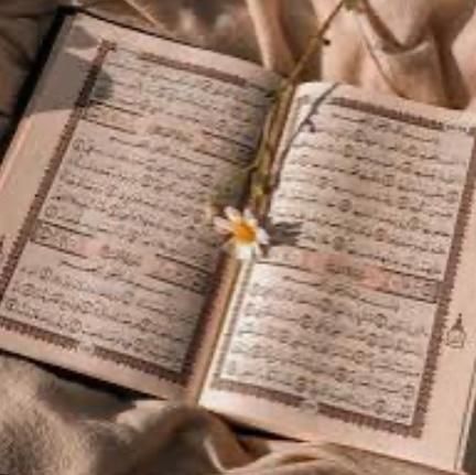 قرآن|کتاب و مجله مذهبی|تهران, شادآباد|دیوار