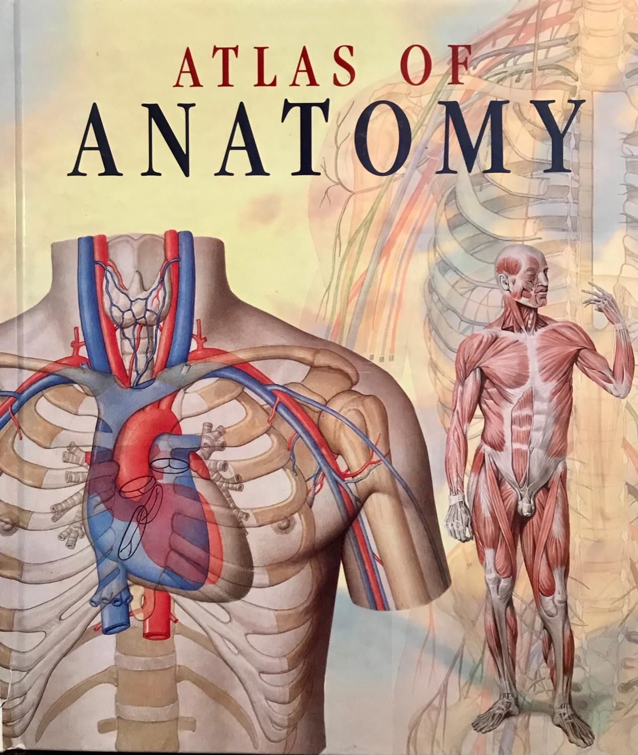 اطلس اناتومی ATLAS OF ANATOMY|کتاب و مجله آموزشی|کلاردشت, |دیوار