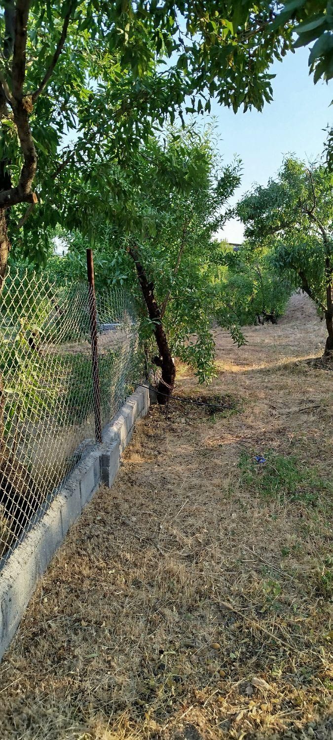 فروش زمین ۸۰۰ متری در شهرکرد شوراب صغیر|فروش زمین و ملک کلنگی|شاهین‌شهر, پاسداران|دیوار