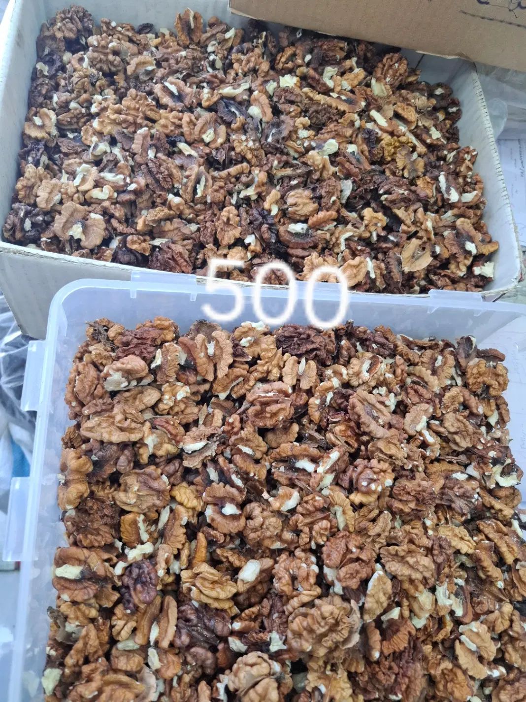 مغز گردوی محلی|خوردنی و آشامیدنی|رشت, خمیران زاهدان|دیوار