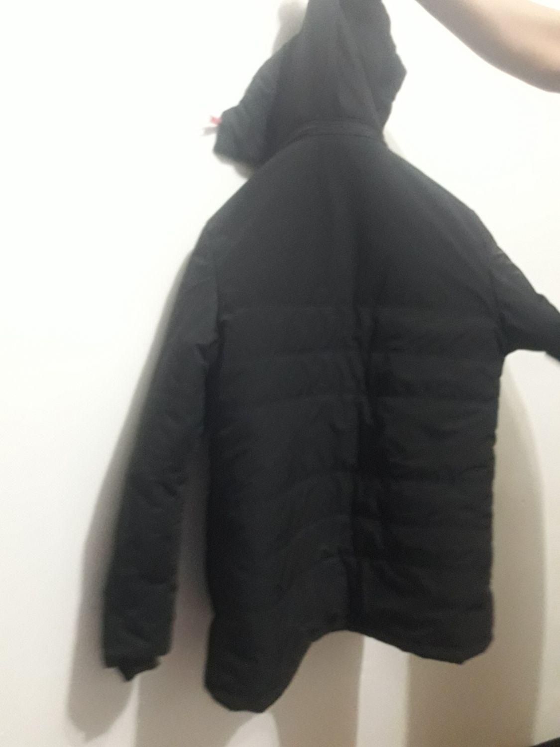 کاپشن درحدنو|لباس|مشگین شهر, |دیوار