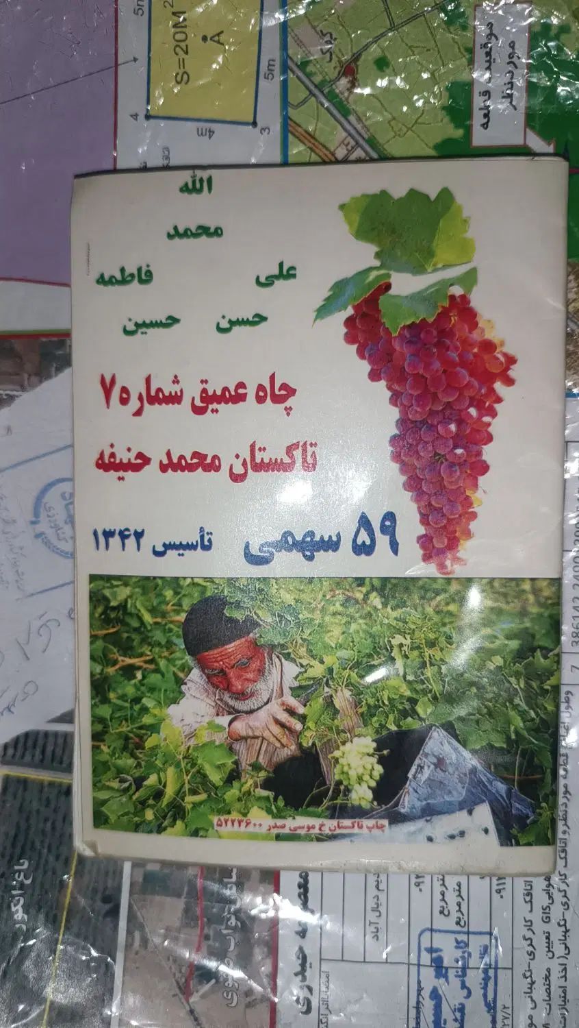 یک هکتار زمین کشاورزی همراه با آب قطره‌ای|فروش دفتر صنعتی، کشاورزی، تجاری|تاکستان, |دیوار