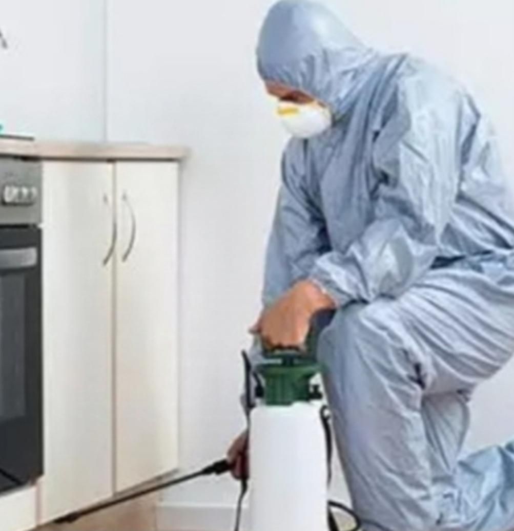 سم پاشی تضمینی شرکت سمپاشی سوسک ساس/ترک زبان منطقه|خدمات نظافت|نسیم‌شهر, |دیوار