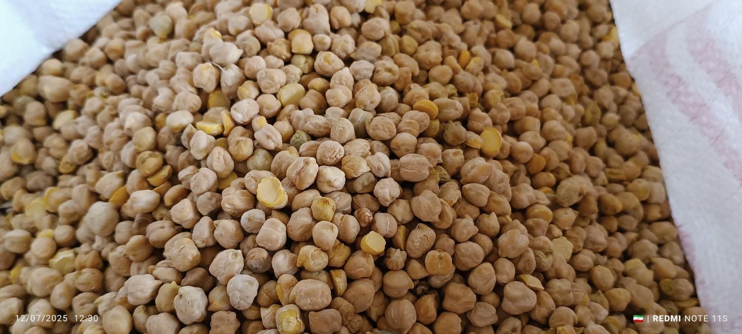 نخود کرمانشاهی|عمده‌فروشی|مرودشت, مسجد رسول‎|دیوار