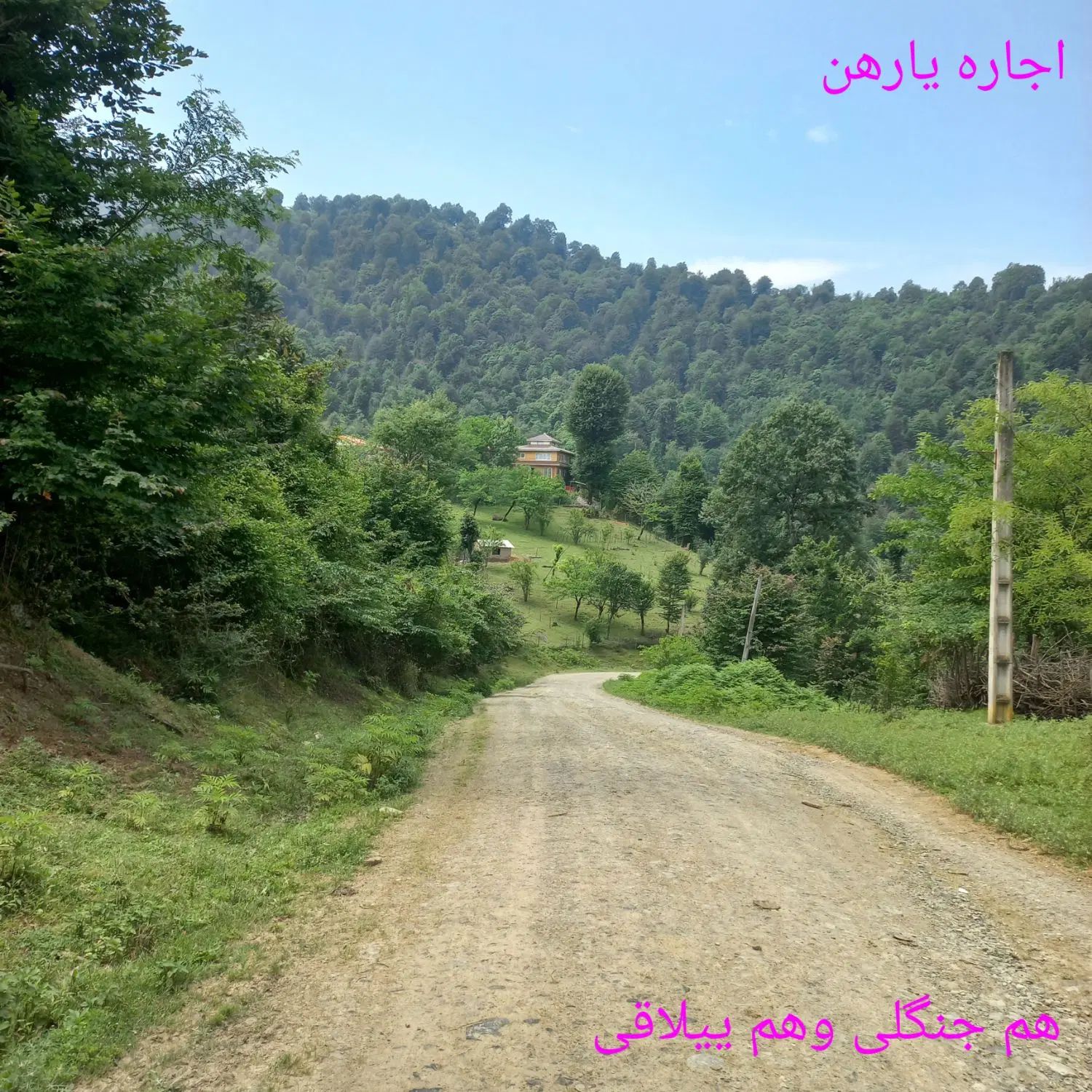 رهن و اجاره ویلا تو دل جنگل میخوایی تماس بگیر|اجارهٔ خانه و ویلا|ماسال, |دیوار