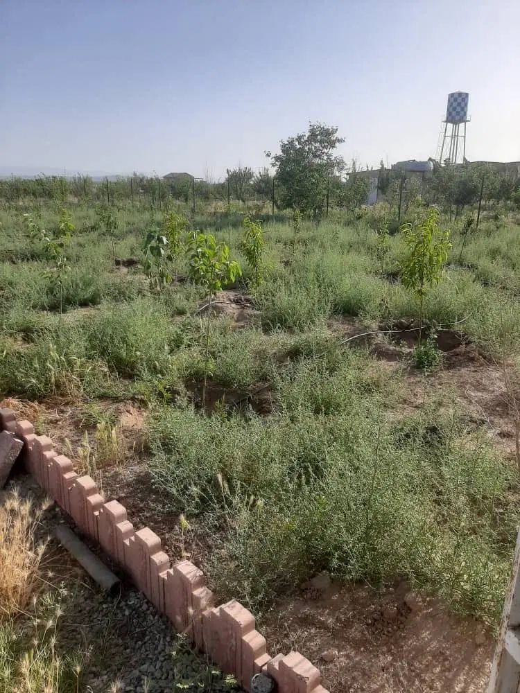 نظرآباد ۱۳۰۰متر با ۷ ساعت آب فروشنده واقعی و تهاتر|فروش زمین و ملک کلنگی|نظرآباد, نجم آباد|دیوار