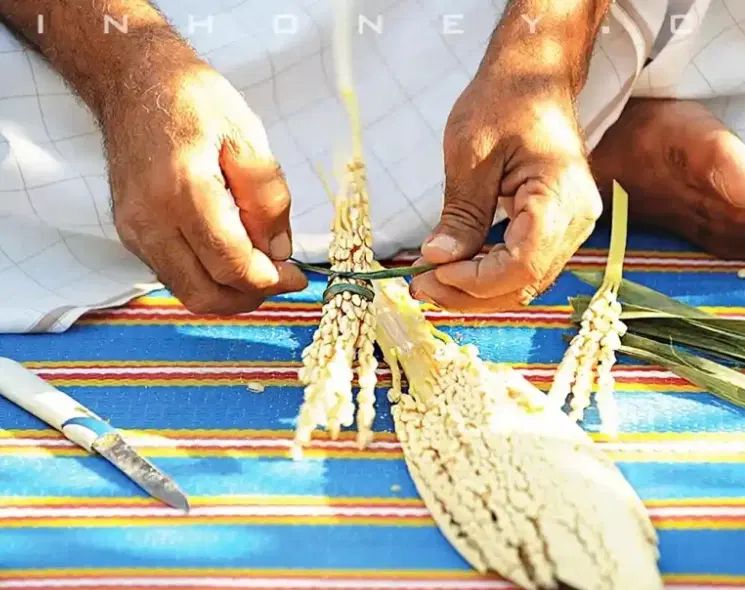 بونخل بدرمان‌ناباروری‌تقوجنسی‌کمخونی‌پوکی‌استخان‌و|خوردنی و آشامیدنی|مشهد, الهیه|دیوار