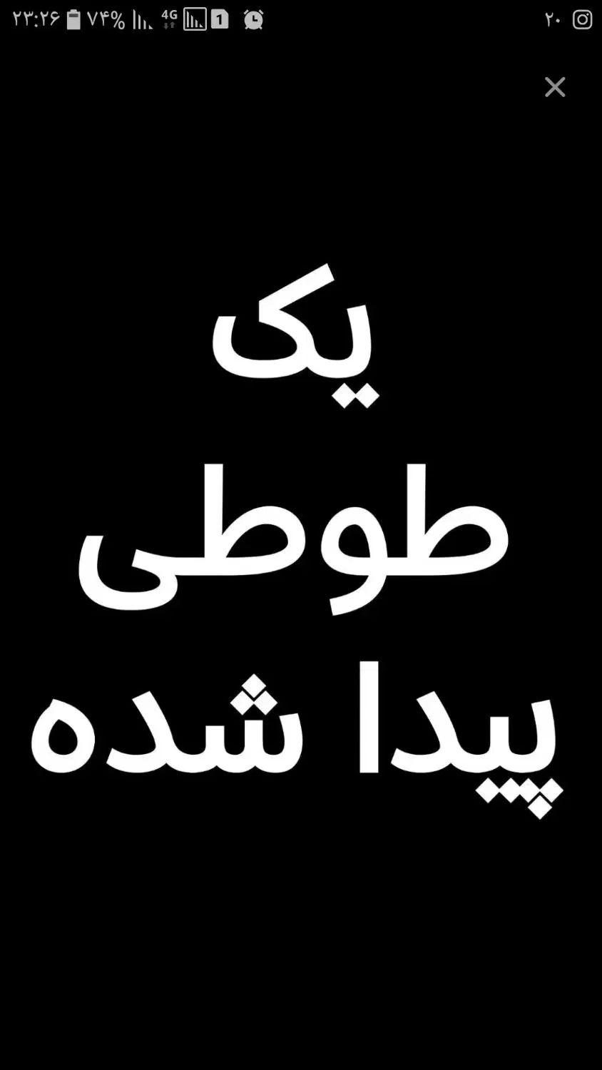 یک پرنده پیدا شده|حیوانات|اصفهان, طامه|دیوار