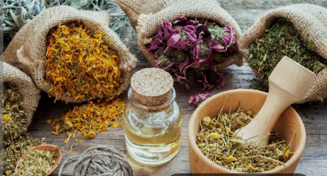 کار در منزل طب سنتی ویژه بانوان|استخدام آموزشی|میاندوآب, |دیوار