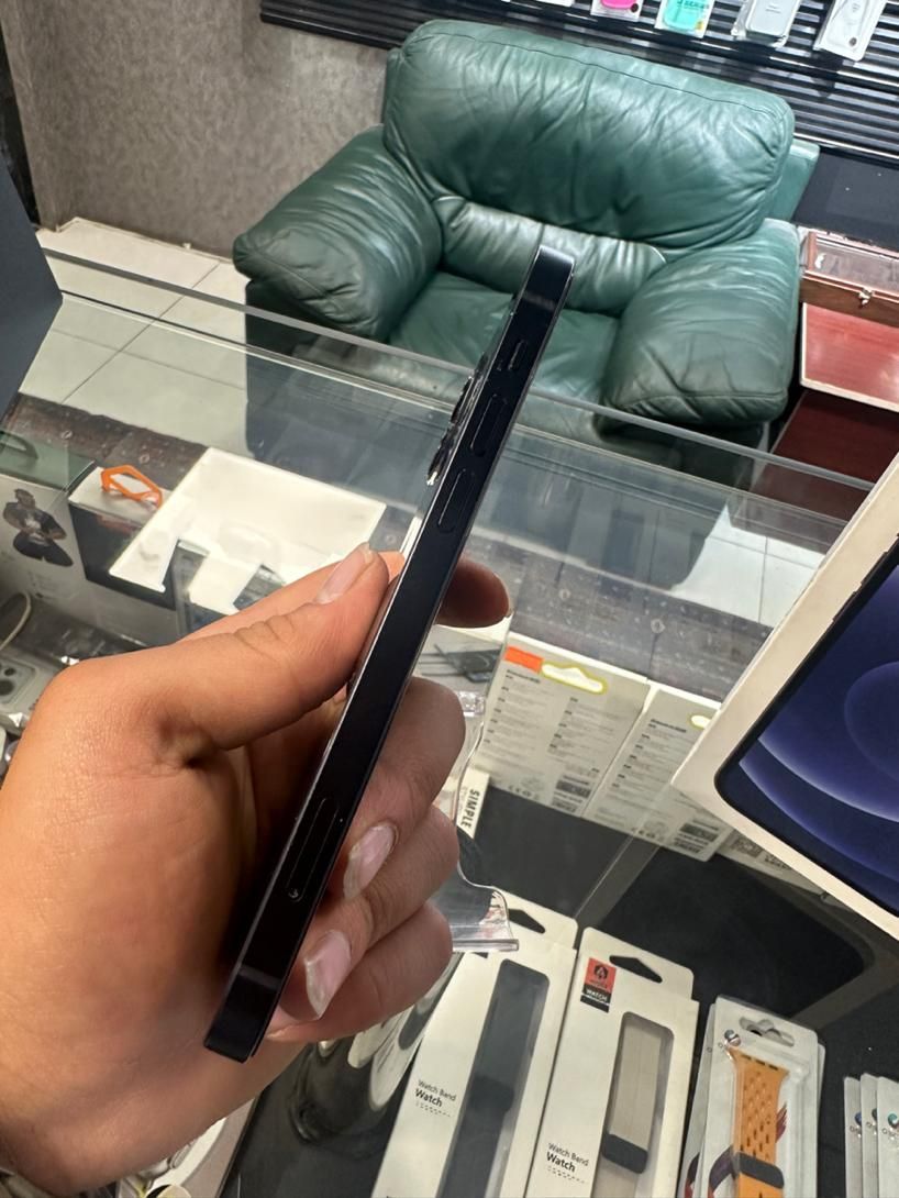 اپل iPhone 12 با حافظهٔ ۱۲۸ گیگابایت|موبایل|کرج, درختی|دیوار