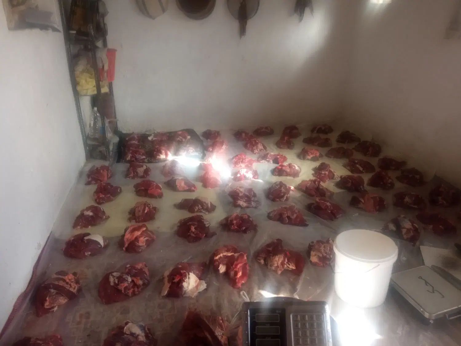 سلاخ سلاخی ذبح قصاب حرفهای گوساله گوسفند حلال|خدمات پذیرایی، مراسم|زنجان, |دیوار