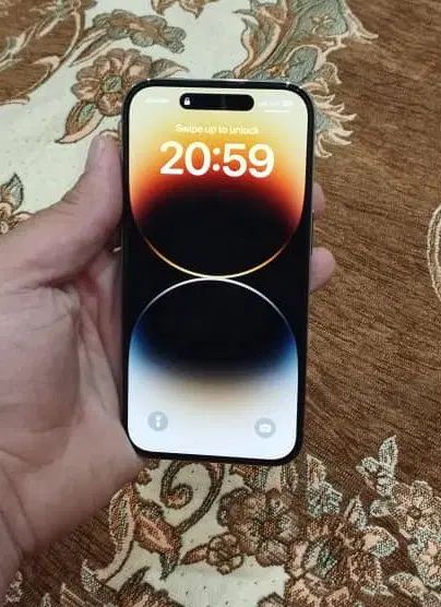 iPhone 14 Pro|موبایل|مشهد, کارمندان دوم|دیوار